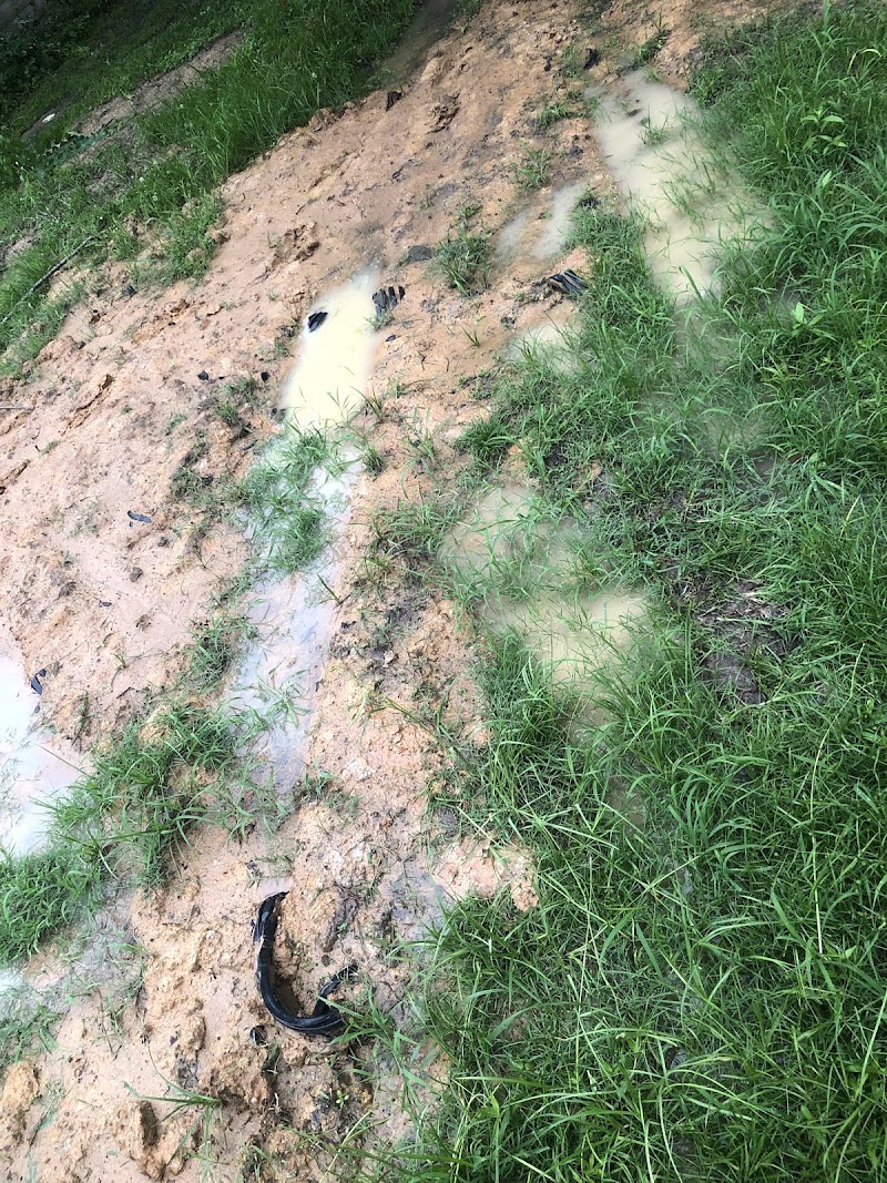 Professional septic tank pumping service in action